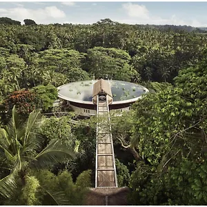 Four Seasons Bali At Sayan Semesteranläggning (resort) Ubud